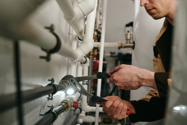  Albion, MI Plumbing Pros