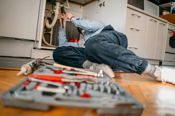 Best Commercial Plumbing Services  in Albion, MI