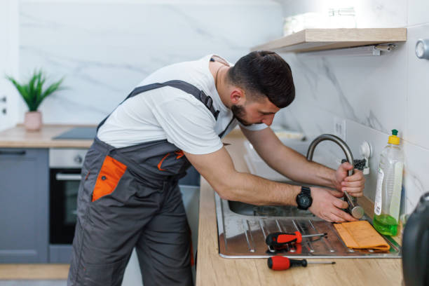 Best Residential Plumbing Services  in Albion, MI