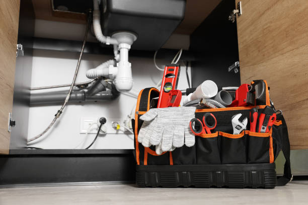 Best Plumbing Services Near Me  in Albion, MI