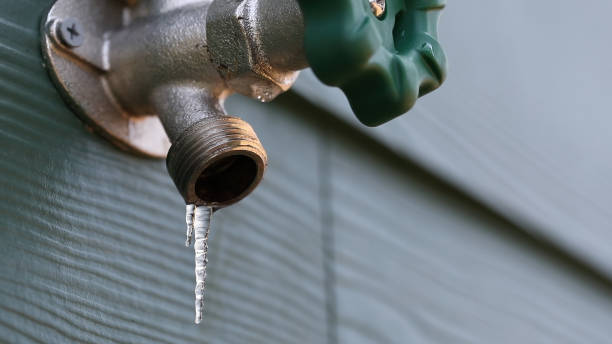 Best Sewer Line Repair  in Albion, MI